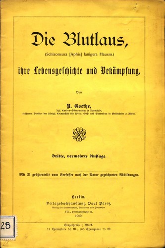 Die blutlaus schizoneura - die, (schizoneura